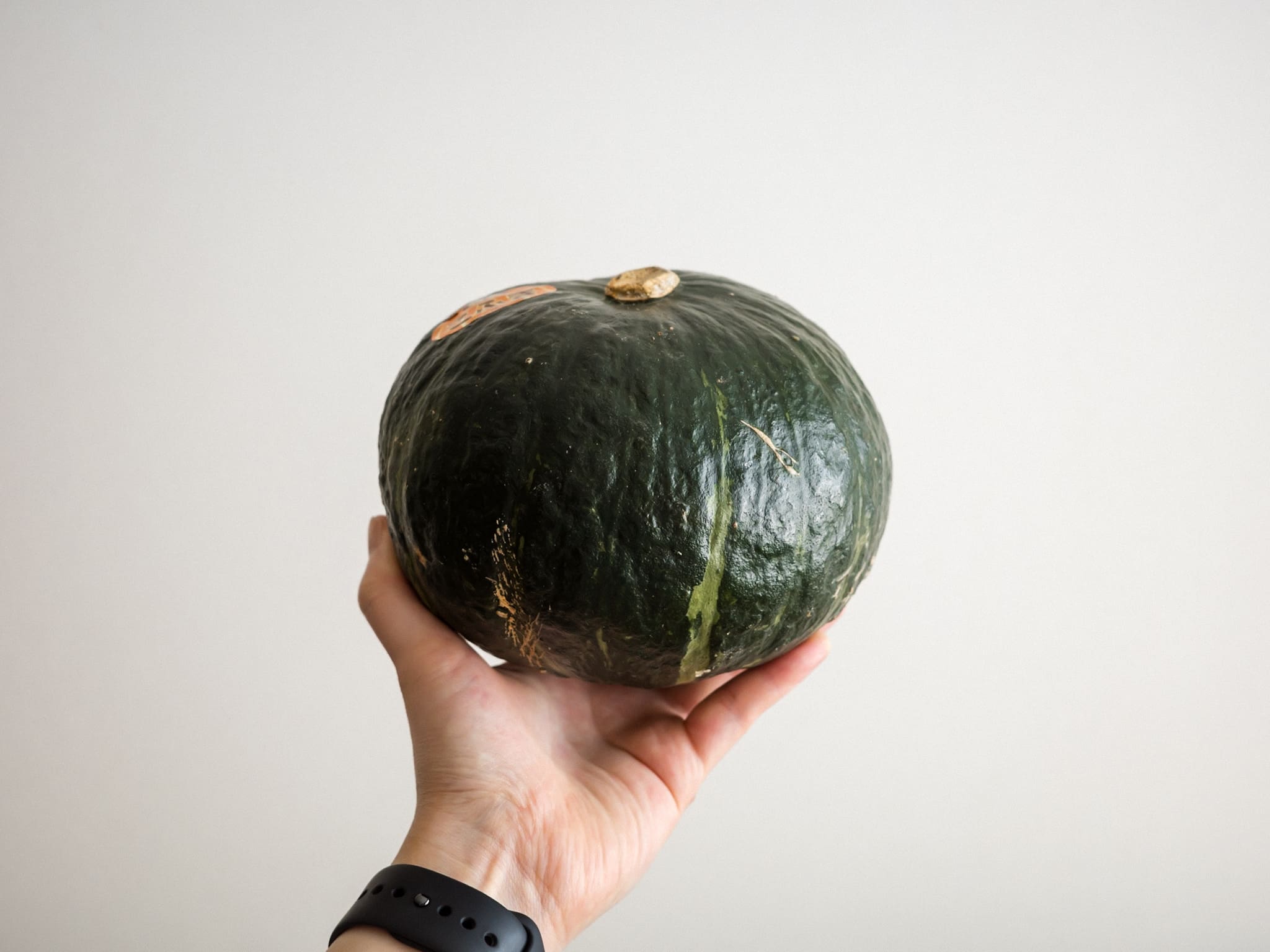 pumpkin Japan こふき かぼちゃ